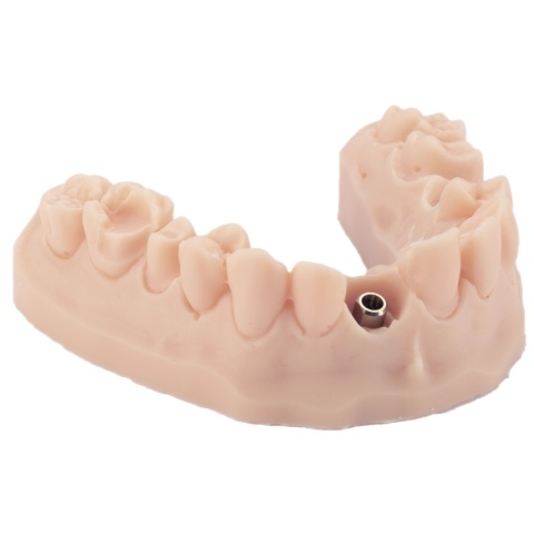 Żywica do modeli dentystycznych Model ST Beige Colour (beżowa) Arma Resin, 0,5kg