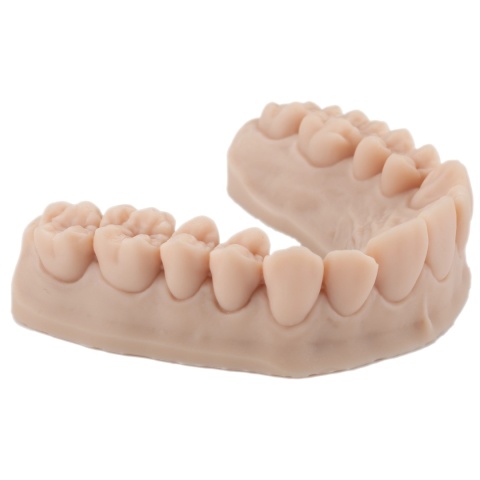 Żywica do modeli dentystycznych Model ST Beige Colour (beżowa) Arma Resin, 0,5kg