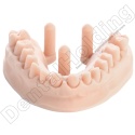 Żywica do modeli stomatologicznych Model ST (beżowa) 1 kg - Dental Model Resin Model ST (Beige Colour) 1 kg - Arma Resin