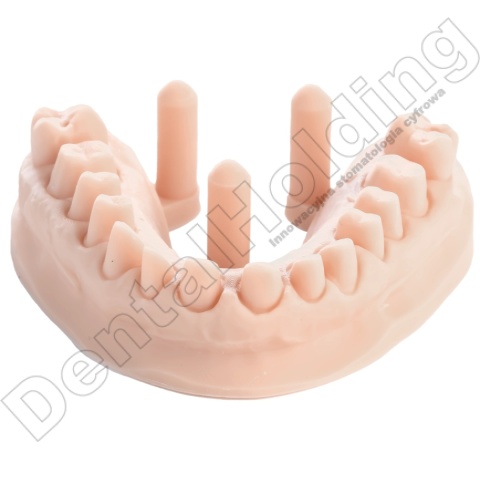 Żywica do modeli stomatologicznych Model ST (beżowa) 1 kg - Dental Model Resin Model ST (Beige Colour) 1 kg - Arma Resin
