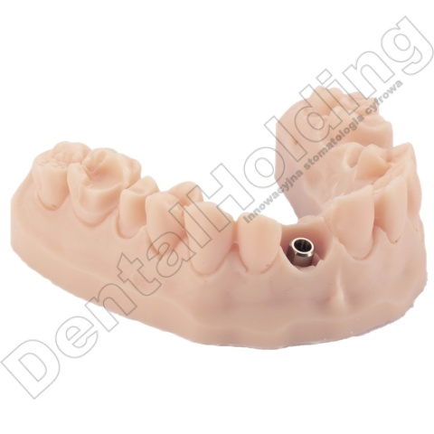 Żywica do modeli stomatologicznych Model ST (beżowa) 1 kg - Dental Model Resin Model ST (Beige Colour) 1 kg - Arma Resin