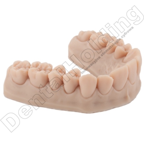 Żywica do modeli stomatologicznych Model ST (beżowa) 1 kg - Dental Model Resin Model ST (Beige Colour) 1 kg - Arma Resin