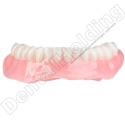 Żywica do protez zębowych Denture 1 kg - Denture Base Resin 1 kg - Arma Resin