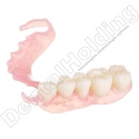 Żywica do protez zębowych Denture 1 kg - Denture Base Resin 1 kg - Arma Resin