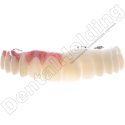 Żywica do stałych uzupełnień protetycznych Permanent Tough (A-B) 1 kg - Permanent Tough Dental Resin (A-B Shades) 1 kg - Arma Re