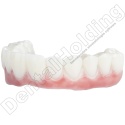 Żywica do tymczasowych koron i mostów Temp (A-B) 1 kg - Temporary Crown & Bridge Resin Temp (A-B Shades) 1 kg - Arma Resin