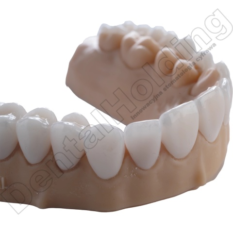 Żywica odlewnicza do druku 3D Cast (burnout) 1 kg - Castable Resin for 3D Printing 1 kg - Arma Resin