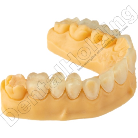 Żywica odlewnicza do druku 3D Cast (burnout) 1 kg - Castable Resin for 3D Printing 1 kg - Arma Resin