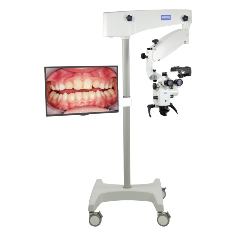 Monitor z uchwytem na maszt - STANDARD