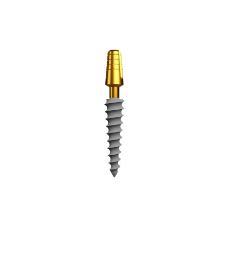 IMPLANT COMPRESSIVE BIOLINE
