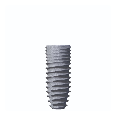Implant OMNI Regular