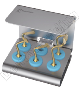 Zestaw tipów Bone surgery kit (US1, US2, US1L, US1R, US6) do Ultrasurgery Woodpecker