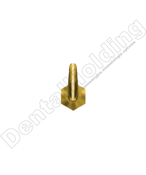 TIP A1T DO SKALINGU SYSTEM AMDENT TIP A1T DO SKALINGU SYSTEM AMDENT