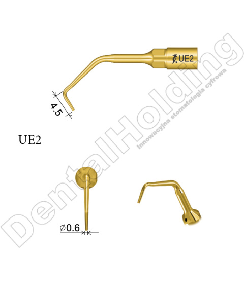 TIP DO ENDODONCJI UE2 TIP DO ENDODONCJI UE2