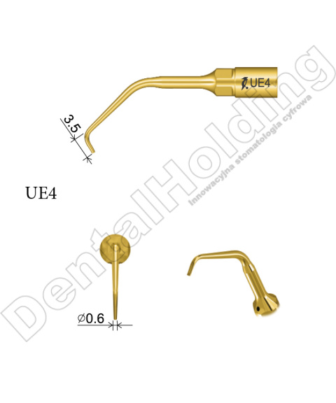 TIP DO ENDODONCJI UE4 TIP DO ENDODONCJI UE4