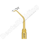TIP DO ENDODONCJI UE4 TIP DO ENDODONCJI UE4