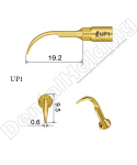TIP DO PERIODONTOLOGII UP1 TIP DO PERIODONTOLOGII UP1