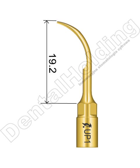 TIP DO PERIODONTOLOGII UP1 TIP DO PERIODONTOLOGII UP1