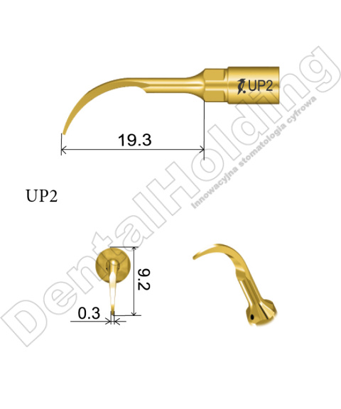 TIP DO PERIODONTOLOGII UP2 TIP DO PERIODONTOLOGII UP2
