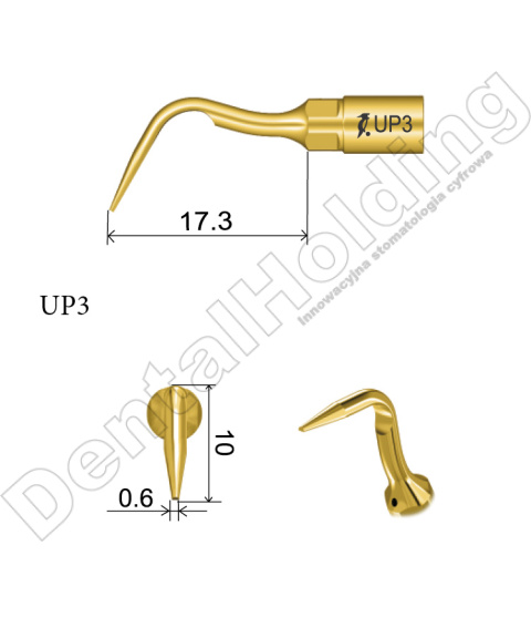 TIP DO PERIODONTOLOGII UP3