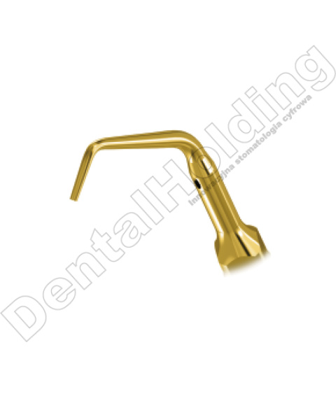 TIP E10 DO ENDO STANDARD WOODPECKER/EMS TIP E10 DO ENDO STANDARD WOODPECKER/EMS