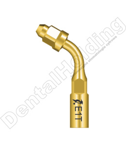 TIP E1T ENDO CHUCK STANDARD DO SKALERA WOODPECKER/EMS (ZŁOTY)