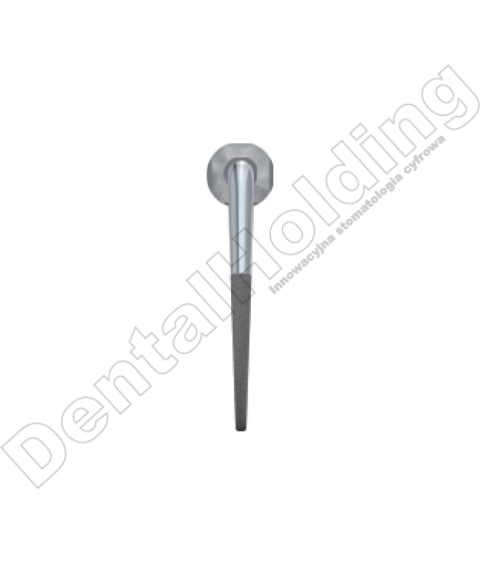 TIP E3D DO ENDODONCJI WOODPECKER/EMS TIP E3D DO ENDODONCJI WOODPECKER/EMS