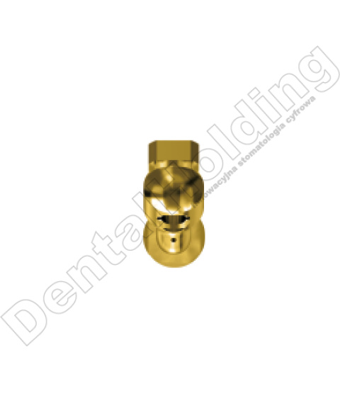 TIP E9T DO ENDO SYSTEM WOODPECKER/EMS (ZŁOTY) TIP E9T DO ENDO SYSTEM WOODPECKER/EMS (ZŁOTY)