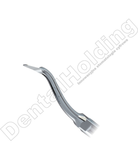 TIP G11 DO SKALINGU STANDARD WOODPECKER/EMS TIP G11 DO SKALINGU STANDARD WOODPECKER/EMS