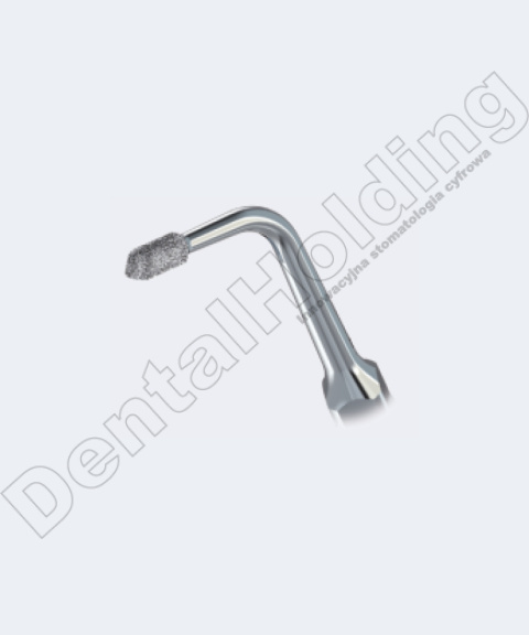 TIP G31 DO PREPARACJI STANDARD WOODPECKER/EMS TIP G31 DO PREPARACJI STANDARD WOODPECKER/EMS