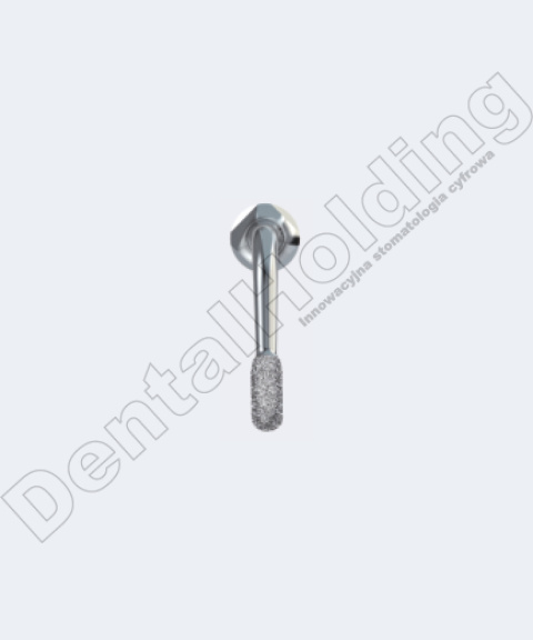 TIP G31 DO PREPARACJI STANDARD WOODPECKER/EMS TIP G31 DO PREPARACJI STANDARD WOODPECKER/EMS