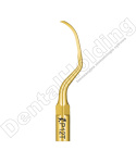 TIP P12T DO PERIODONTOLOGII STANDARD WOODPECKER/EMS (ZŁOTY) TIP P12T DO PERIODONTOLOGII STANDARD WOODPECKER/EMS (ZŁOTY)