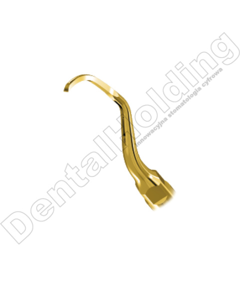TIP P12T DO PERIODONTOLOGII STANDARD WOODPECKER/EMS (ZŁOTY) TIP P12T DO PERIODONTOLOGII STANDARD WOODPECKER/EMS (ZŁOTY)