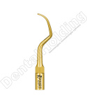 TIP P20RT DO PERIODONTOLOGII STANDARD WOODPECKER/EMS (ZŁOTY) TIP P20RT DO PERIODONTOLOGII STANDARD WOODPECKER/EMS (ZŁOTY)