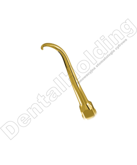 TIP P20RT DO PERIODONTOLOGII STANDARD WOODPECKER/EMS (ZŁOTY) TIP P20RT DO PERIODONTOLOGII STANDARD WOODPECKER/EMS (ZŁOTY)