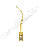 TIP P21RT DO PERIODONTOLOGII STANDARD WOODPECKER/EMS (ZŁOTY) TIP P21RT DO PERIODONTOLOGII STANDARD WOODPECKER/EMS (ZŁOTY)