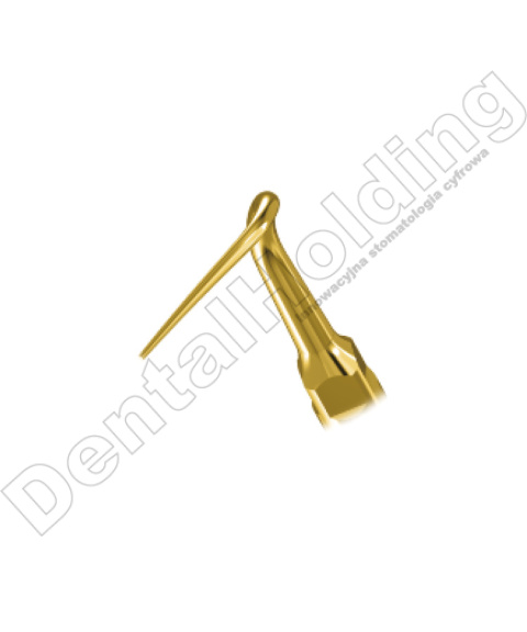 TIP P22LT DO PERIODONTOLOGII STANDARD WOODPECKER/EMS (ZŁOTY) TIP P22LT DO PERIODONTOLOGII STANDARD WOODPECKER/EMS (ZŁOTY)