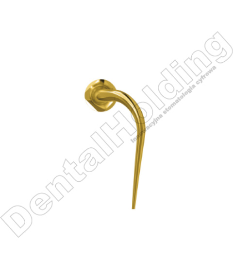 TIP P22LT DO PERIODONTOLOGII STANDARD WOODPECKER/EMS (ZŁOTY) TIP P22LT DO PERIODONTOLOGII STANDARD WOODPECKER/EMS (ZŁOTY)