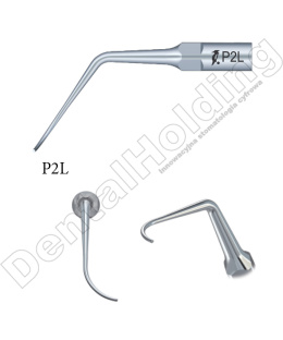 TIP P2L DO PERIODONTOLOGII STANDARD WOODPECKER/EMS