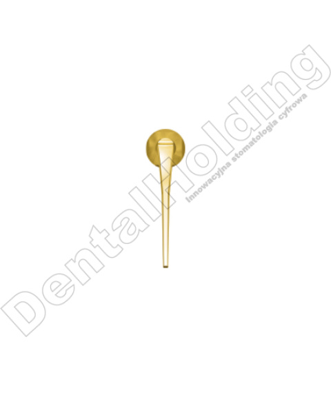 TIP P3T DO PERIODONTOLOGII STANDARD WOODPECKER/EMS (ZŁOTY) TIP P3T DO PERIODONTOLOGII STANDARD WOODPECKER/EMS (ZŁOTY)