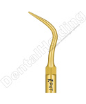 TIP P4T DO PERIODONTOLOGII STANDAR WOODPECKER/EMS (ZŁOTY) TIP P4T DO PERIODONTOLOGII STANDAR WOODPECKER/EMS (ZŁOTY)