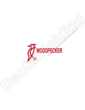 TIP G21 DO SKALINGU STANDARD WOODPECKER/EMS