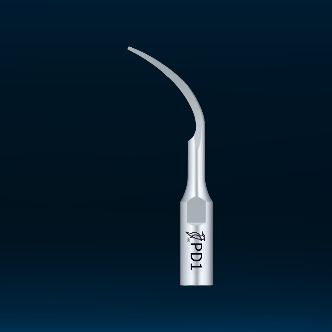 PODDZIĄSŁOWY (PERIO)